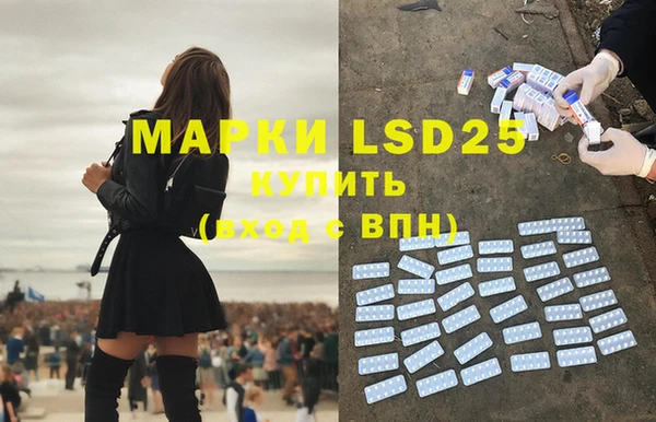 прущие грибы Михайлов
