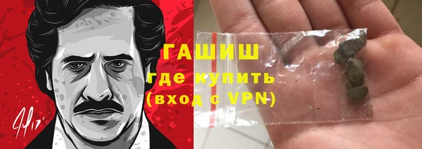 прущие грибы Михайлов