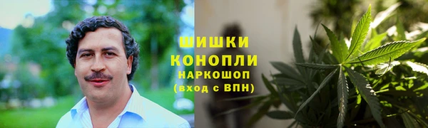 сатива Мегион