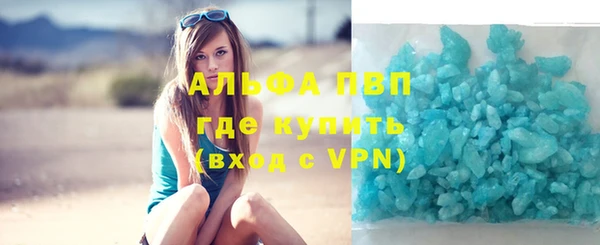 гидра Михайловка
