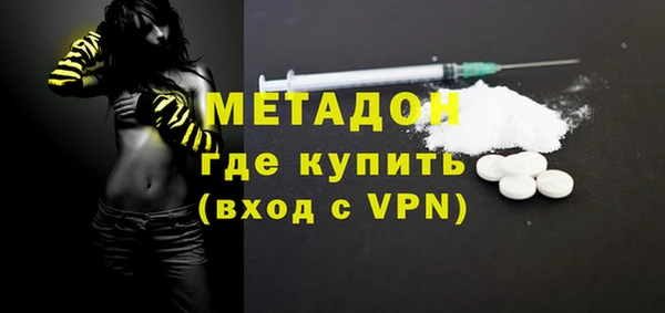 прущие грибы Михайлов