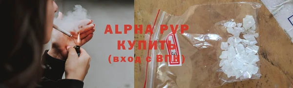гидра Михайловка