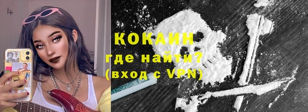 прущие грибы Михайлов