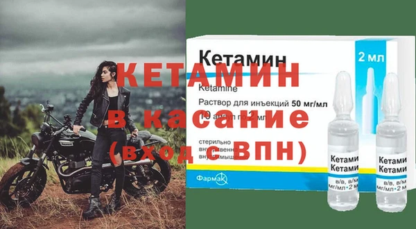 прущие грибы Михайлов