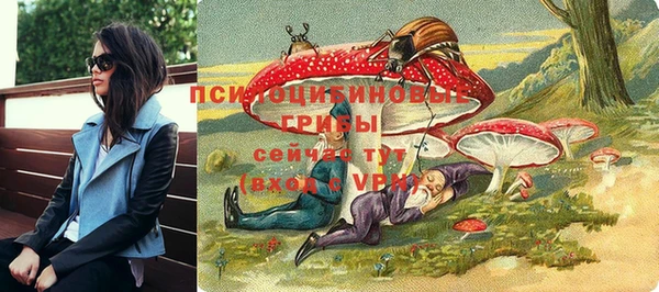сатива Мегион